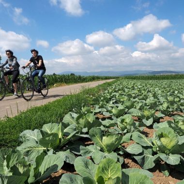 Location de vélos à assistance électrique