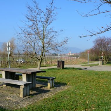 Picnic area