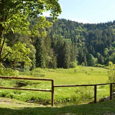 Office de tourisme vallée de Kaysersberg