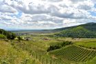 OT Vallée de Kaysersberg