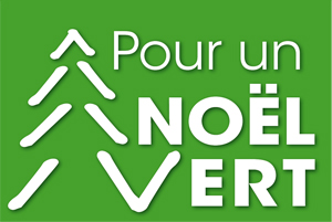 logo_noelvert_PT