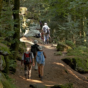 Familienfreundliche Wanderung an der Heidenmauer