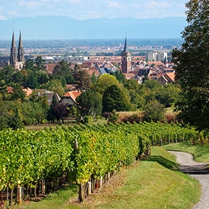 Obernai in Alsace (France), high place of tourism
