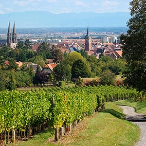 Obernai - das Elsass wie aus dem Bilderbuch  