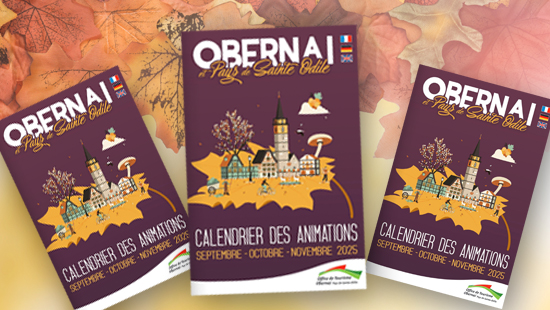 Le calendrier des animations aux couleurs de l'automne