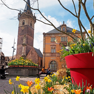 les rencontres pro obernai