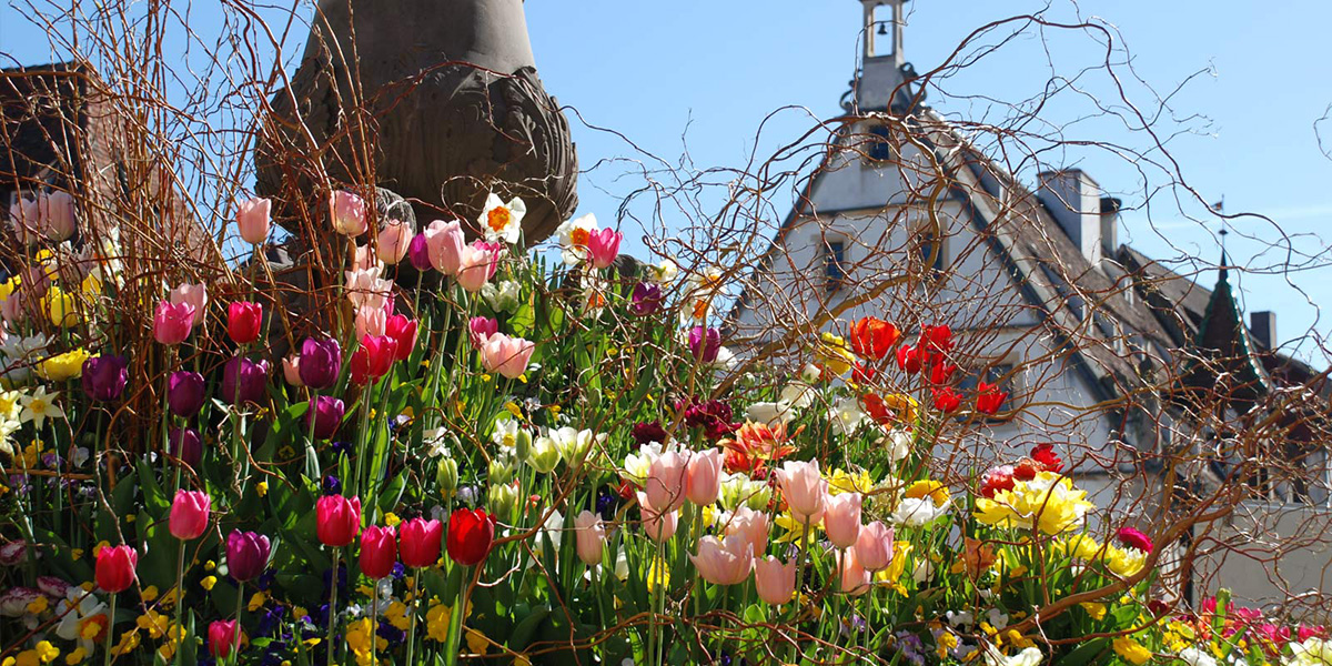 Obernai au  Printemps