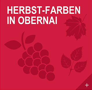 /De/Sehenswert/Veranstaltungskalender/Herbstfarben-in-Obernai.html