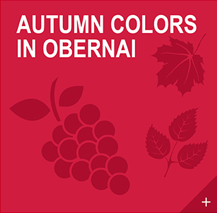 /En/Things-to-see-and-do/Programme-of-events/Autumn-colours-in-Obernai.html