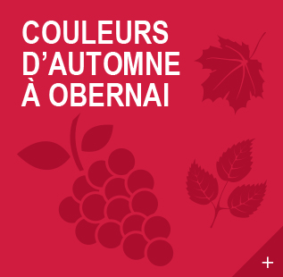 automnenomie & Gourmandises